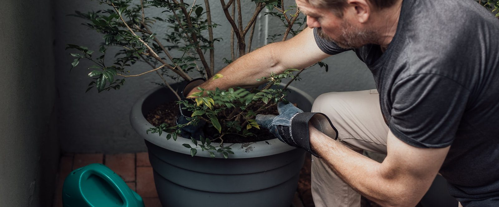 A man gardening with a potted plant.